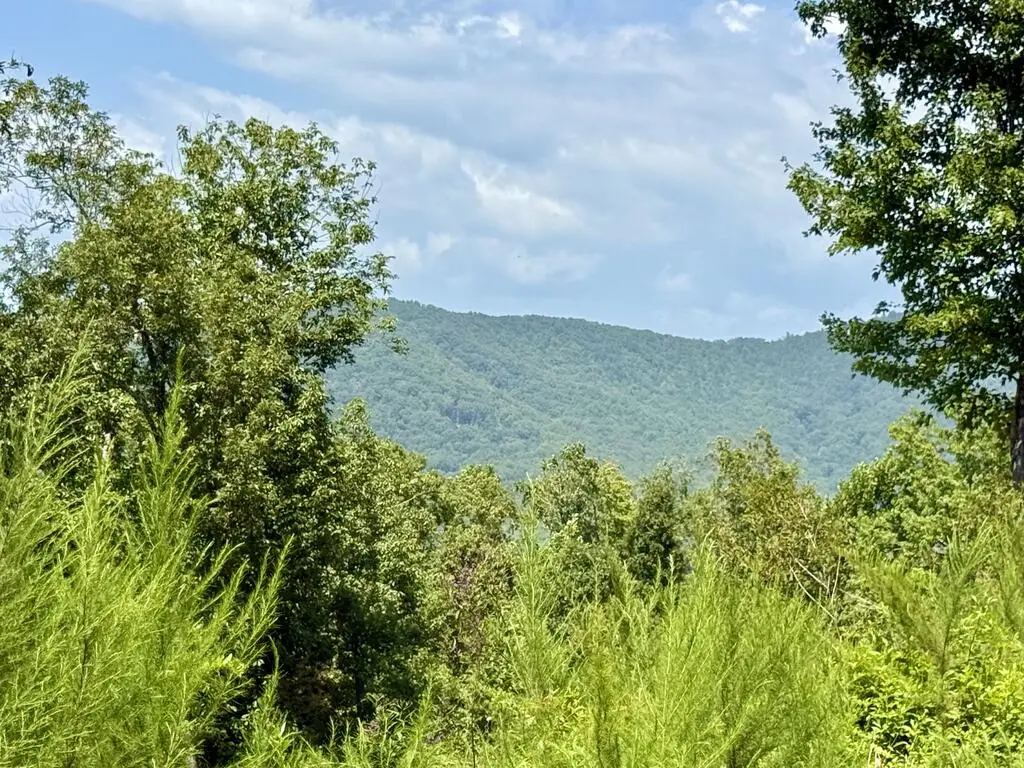 Lot 35 Grand Laurel, Brasstown, NC 28902 - #1