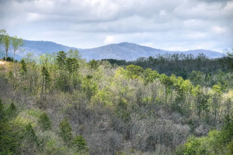250 Noah Circle, Ellijay, GA 30540 - #2