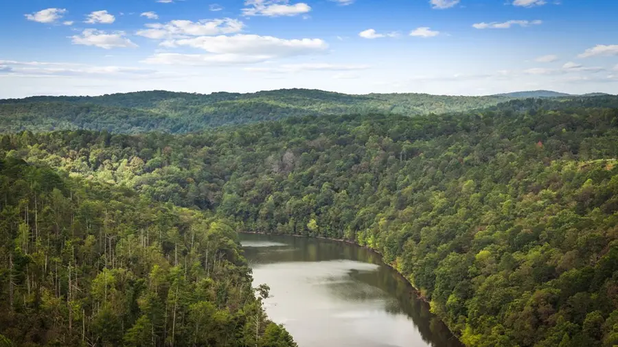 250 Noah Circle, Ellijay, GA 30540 - #3