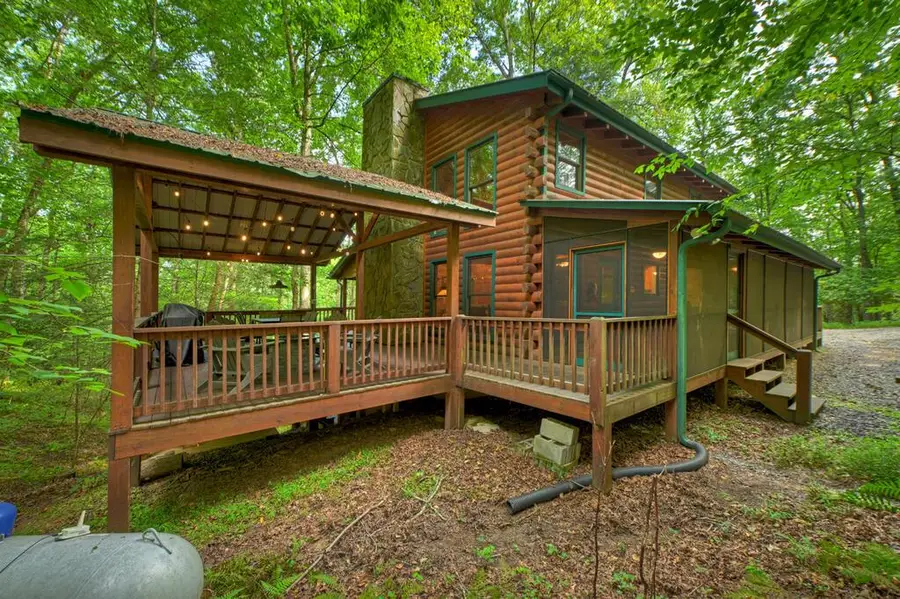 381 Icy Lane, Blue Ridge, GA 30513 - #2