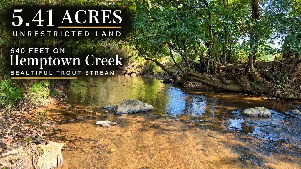 51 Evans Drive, Morganton, GA 30560 - #1