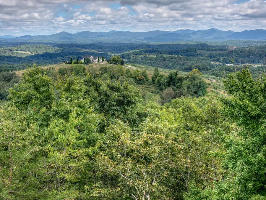 411 Highland Circle, Blue Ridge, GA 30513 - #2