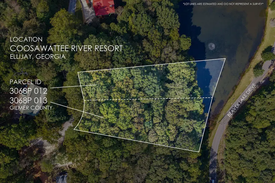 395/6 Summit Lane, Ellijay, GA 30540 - #3