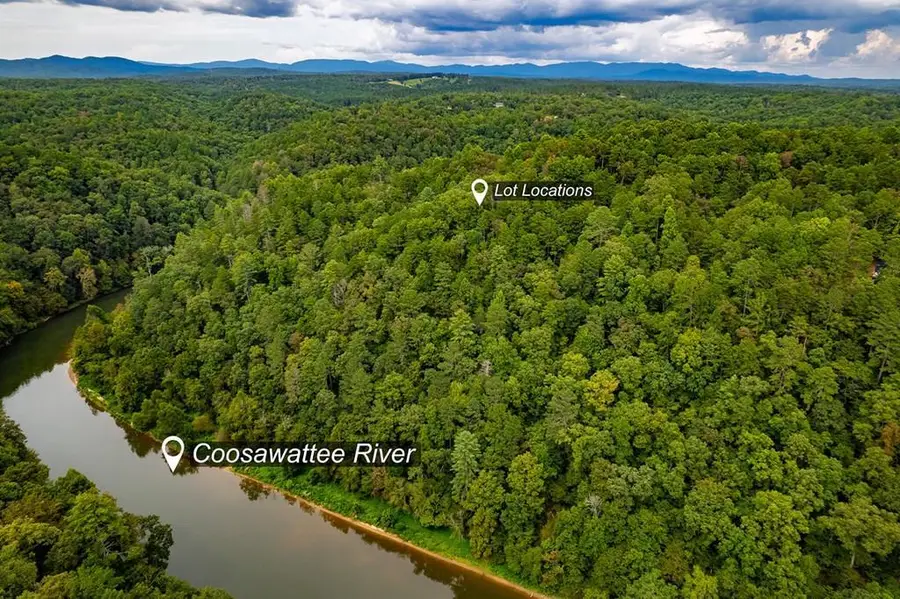 2.5 AC Mango Lane, Ellijay, GA 30540 - #2