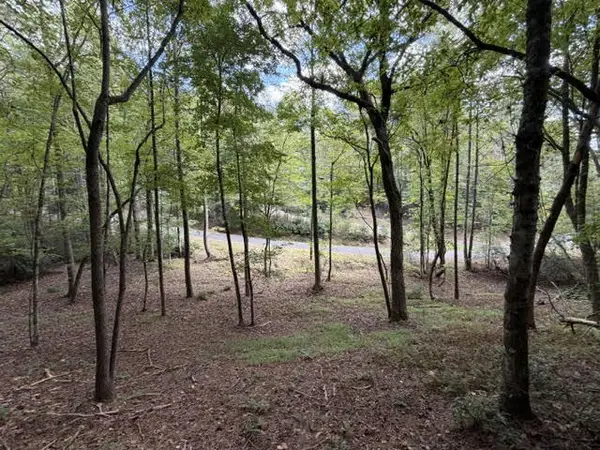 LOT 133 Seneca Drive, Ellijay, GA 30540
