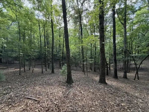 LT 556 Satsuma Court, Ellijay, GA 30540
