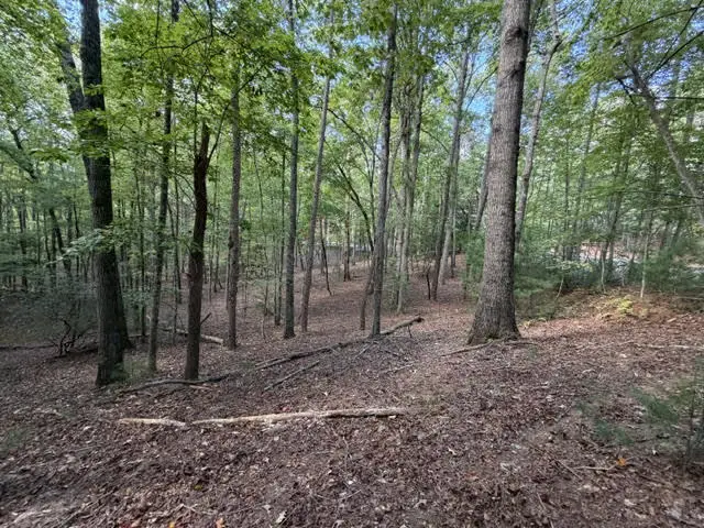 LOT 556 Satsuma Court, Ellijay, GA 30540 - #2