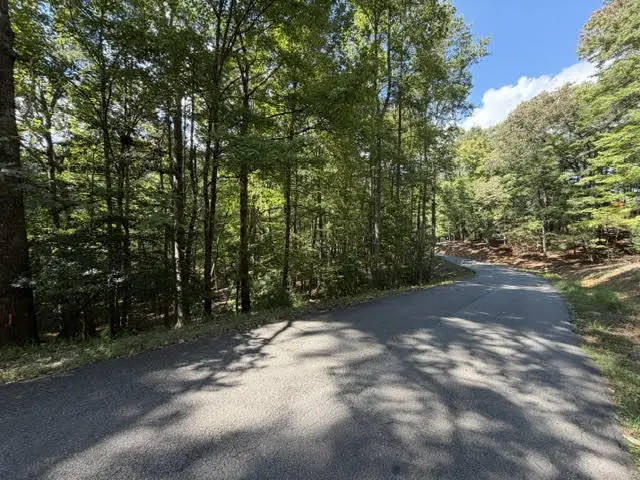 LOT 556 Satsuma Court, Ellijay, GA 30540 - #3
