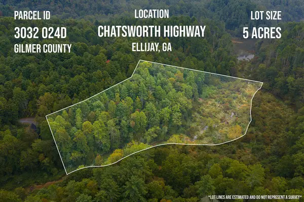 14-17 Conasauga Drive, Ellijay, GA 30540