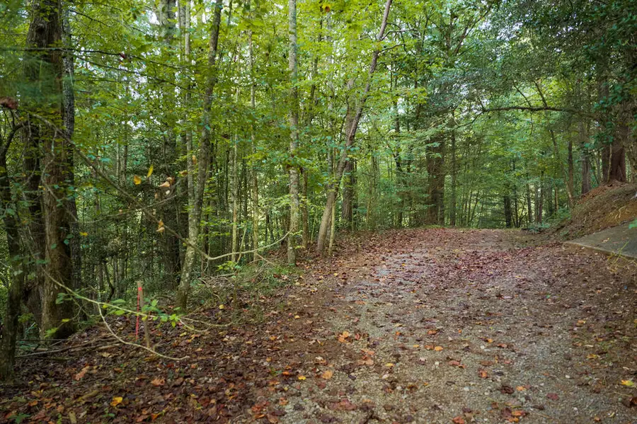 14-17 Conasauga Drive, Ellijay, GA 30540 - #2