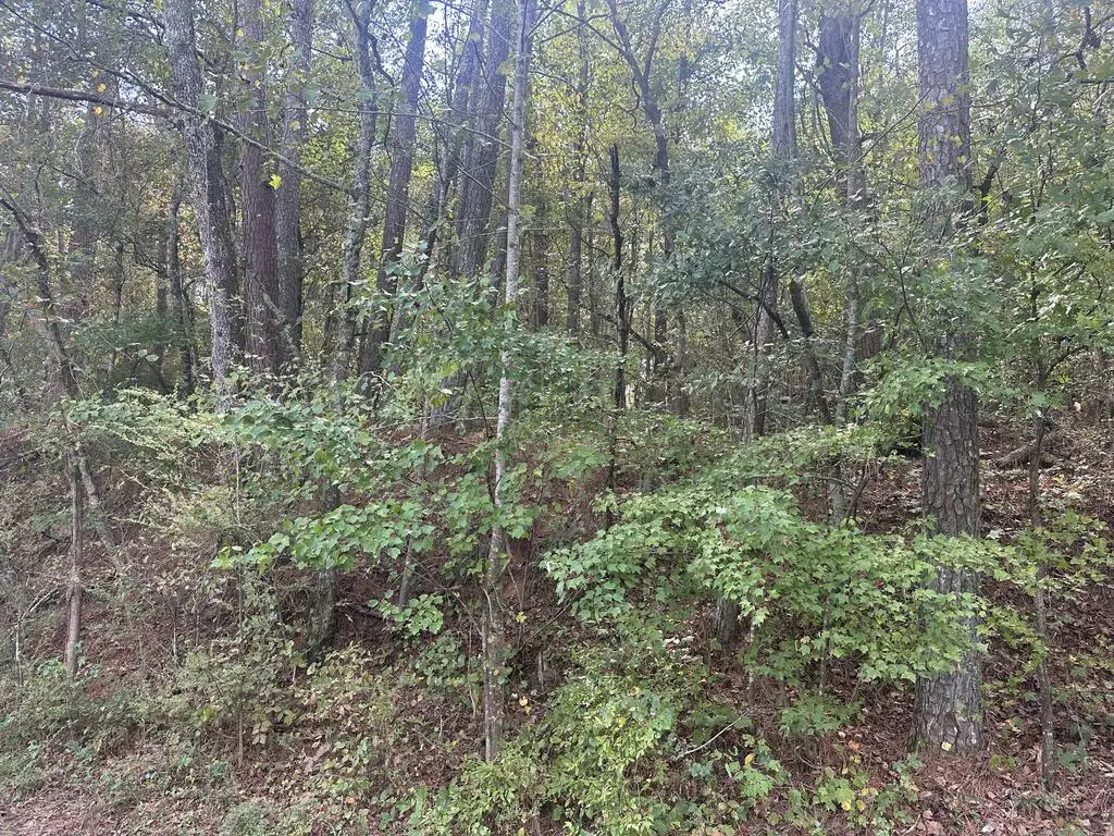 0 Carver Mill Road, Talking Rock, GA 30175 - #1