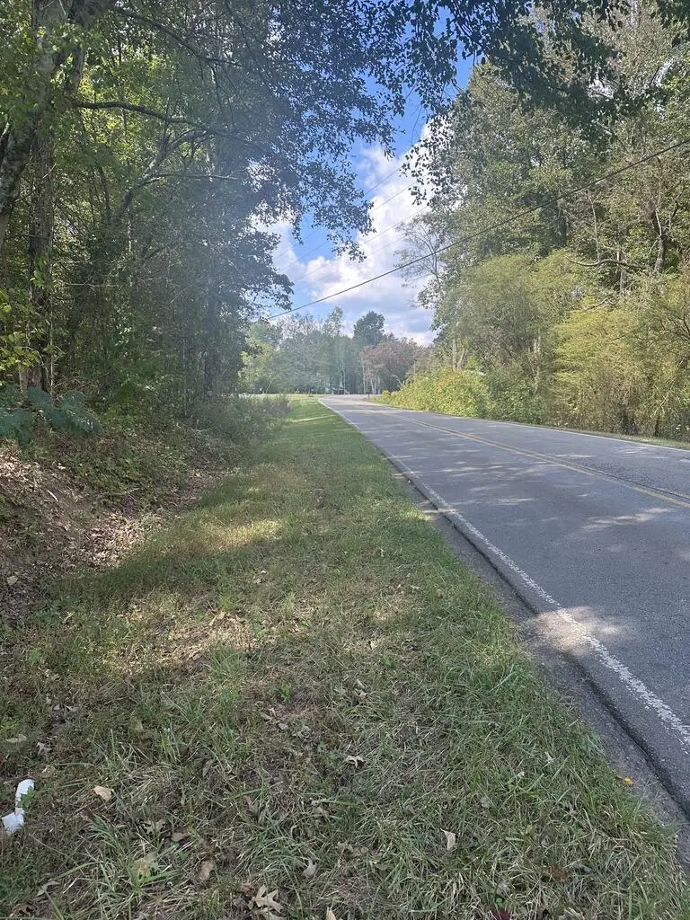 0 Carver Mill Road, Talking Rock, GA 30175 - #2