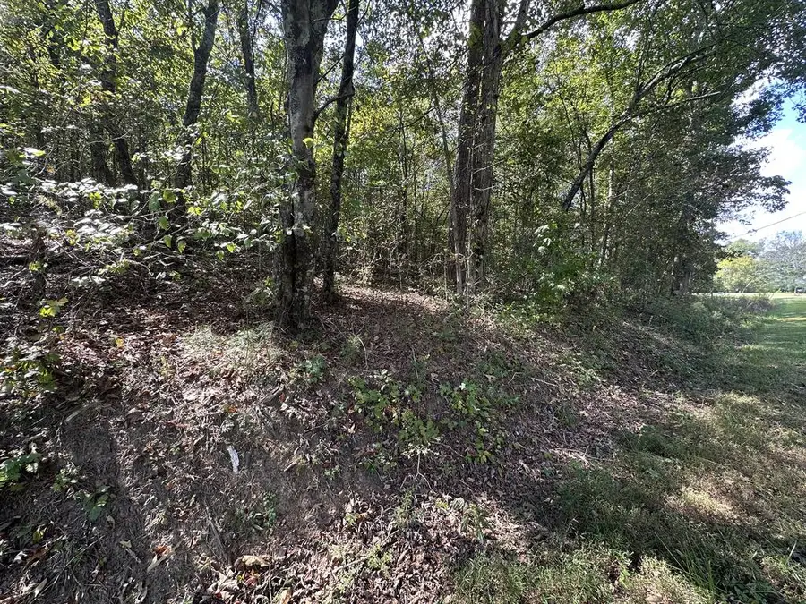 0 Carver Mill Road, Talking Rock, GA 30175 - #3