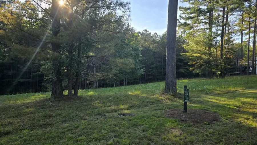 Lot 65 Brook Green Court, Blairsville, GA 30512 - #2