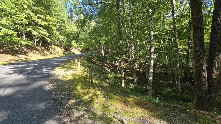 Lot 40 Double Knob, Hayesville, NC 28904 - #2