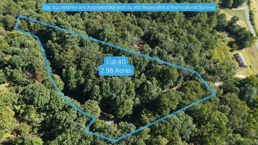 Lot 40 Double Knob, Hayesville, NC 28904 - #3