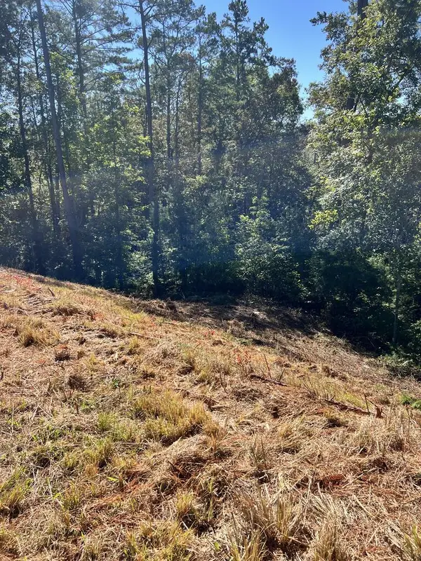 LOT 229 Woodstone Trail, Ellijay, GA 30540