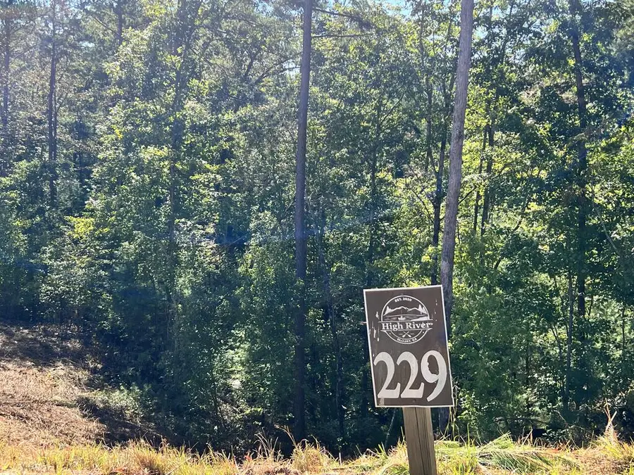 LOT 229 Woodstone Trail, Ellijay, GA 30540 - #3
