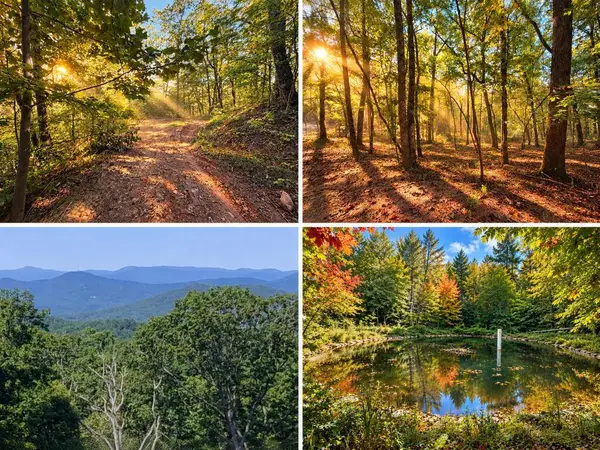 14.06 Old Burnt Mountain Road, Ellijay, GA 30536