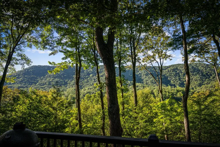 241 Wilderness Way, Ellijay, GA 30536 - #2