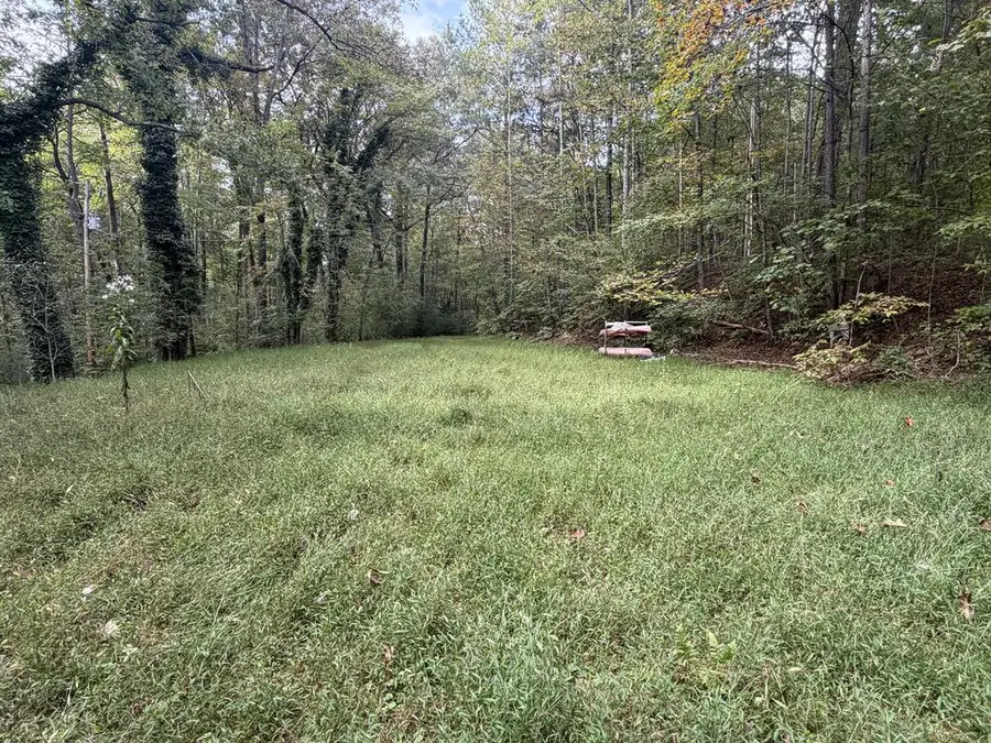 127 Ikes Circle, Ellijay, GA 30536 - #3