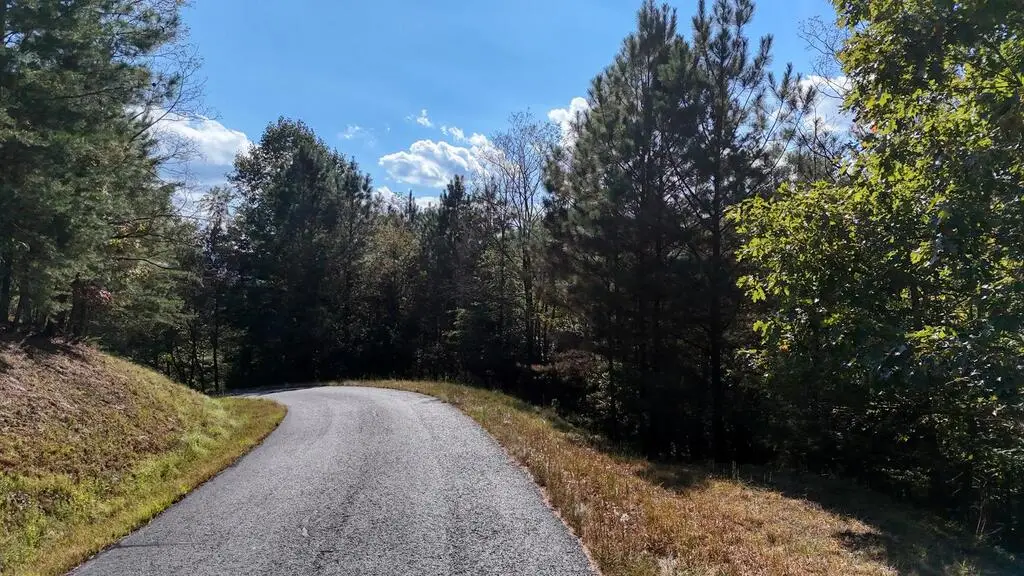 Lot 83 Tree Line Drive, Blairsville, GA 30512 - #1