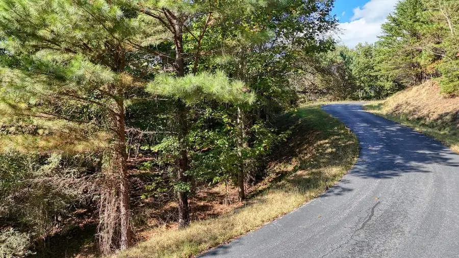 Lot 83 Tree Line Drive, Blairsville, GA 30512 - #3
