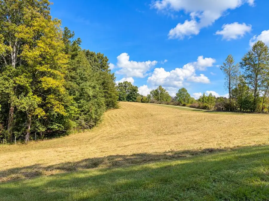 lt 45 Old Chicken Farm Rd, Young Harris, GA 30582 - #3