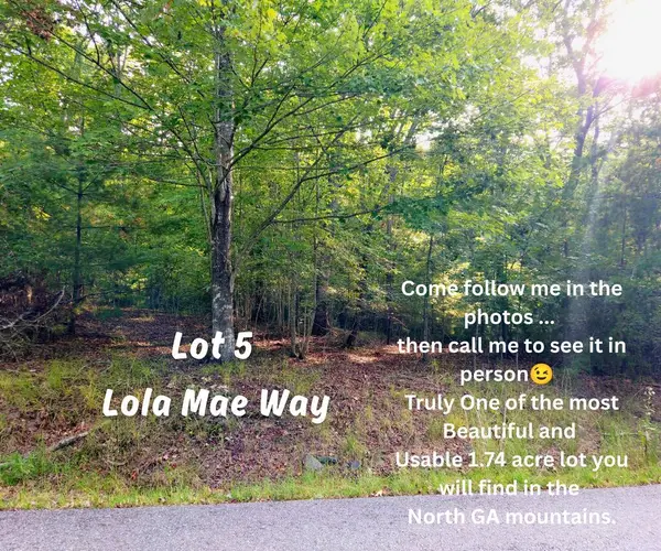 Lot 5 Lola Mae Way, Morganton, GA 30560