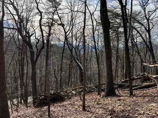 4528 Sassafras Mountain Trail, Jasper, GA 30143
