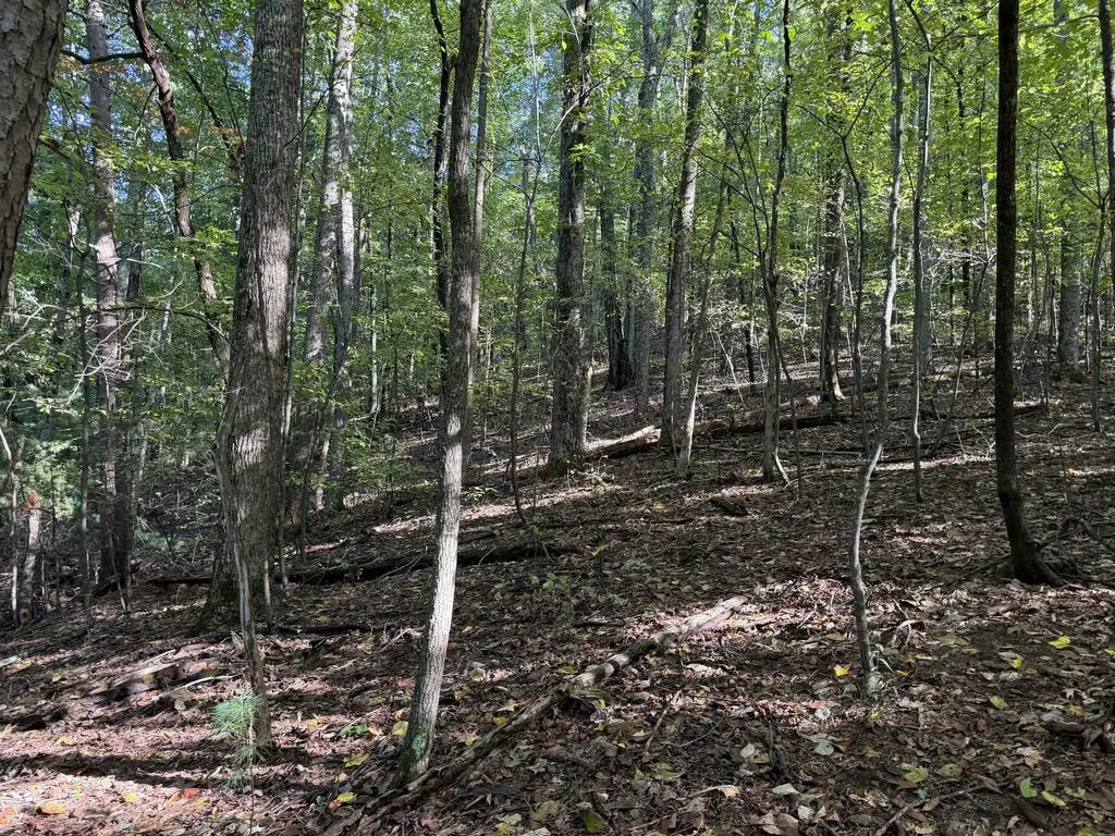 J349 Mountainview Court, Ellijay, GA 30540 - #1