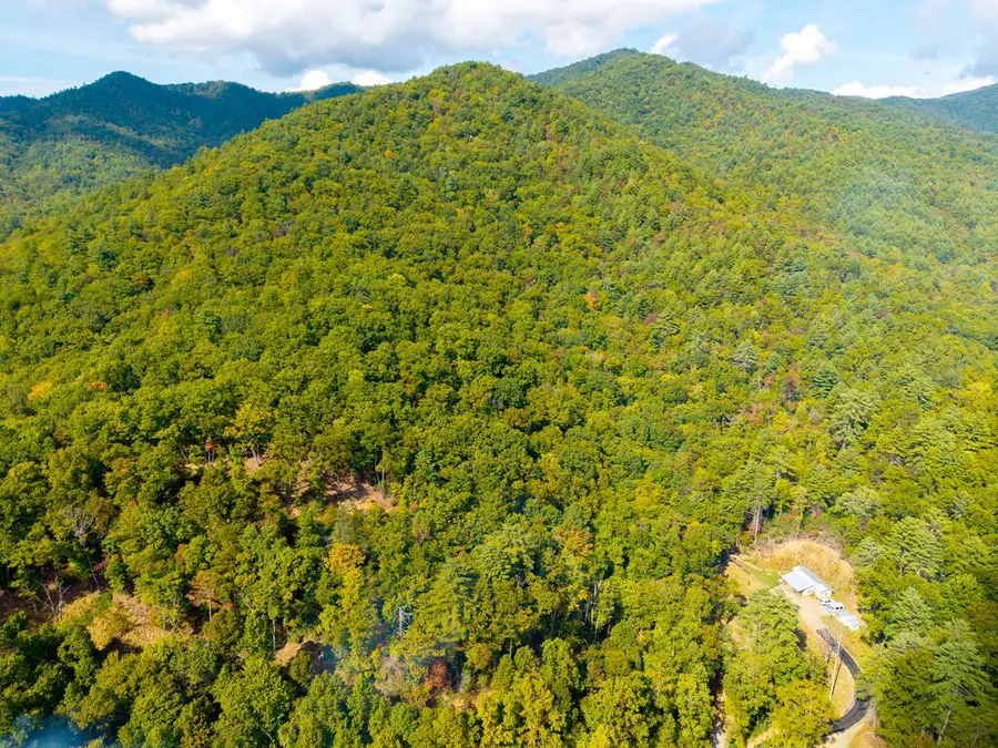 00 Hillbilly Holler, Hayesville, NC 28904 - #2