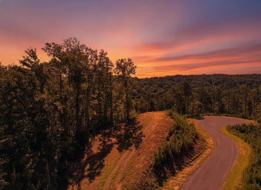 LT 267 River View Trail, Ellijay, GA 30540 - #2