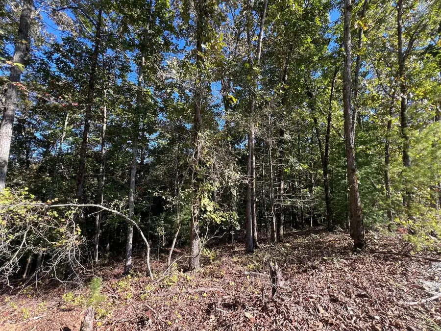 1719 Rebekah Ridge Road, Talking Rock, GA 30175 - #2