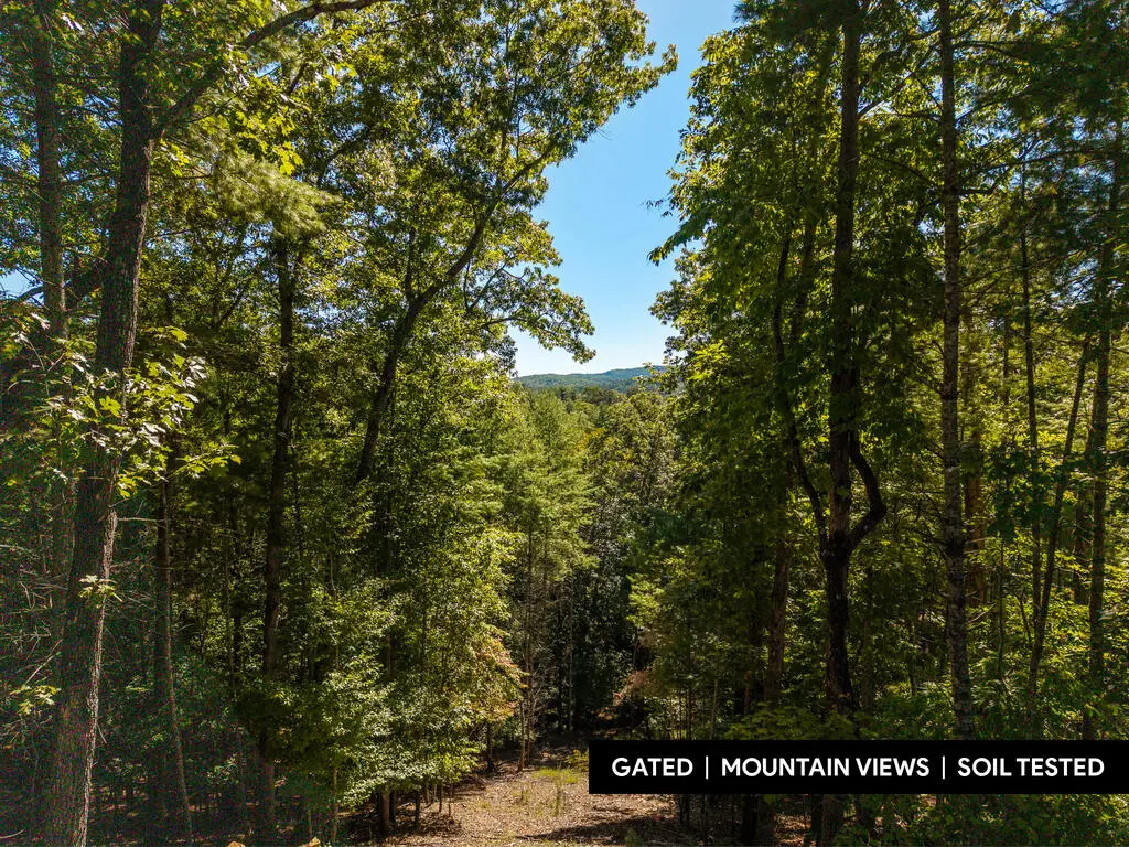 Lot 62 Ridge Drive, Blue Ridge, GA 30513 - #1