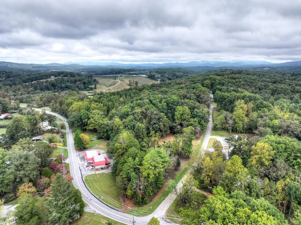 TR 2 Davis Road, Blue Ridge, GA 30513 - #1
