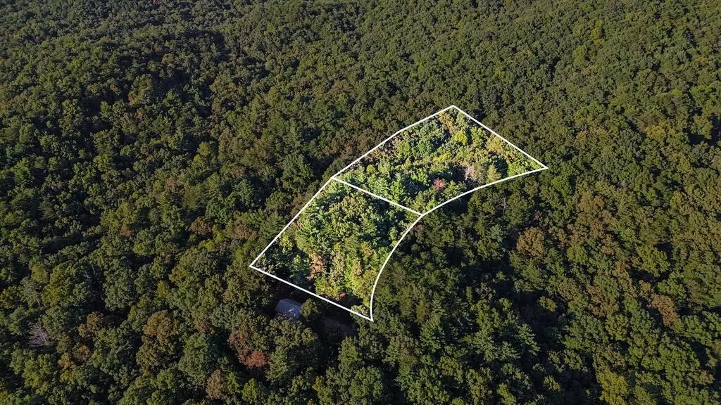 73-76 Peach Lane, Ellijay, GA 30536 - #1