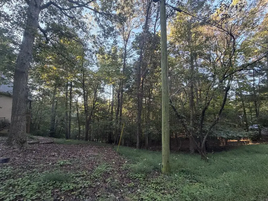 244 S Crestview Drive S, Ellijay, GA 30540 - #2