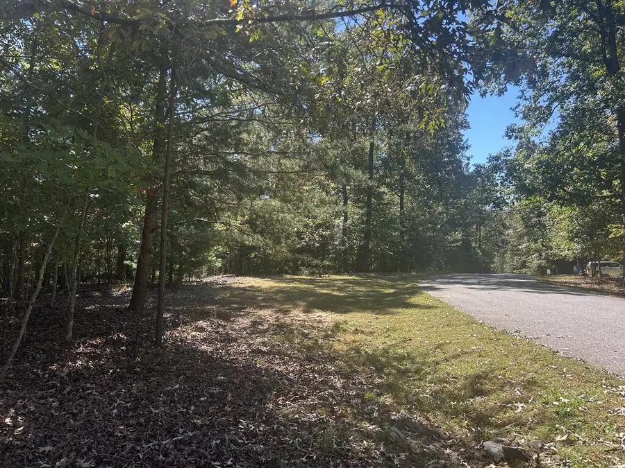 Lt 46 Lola Mae Way, Morganton, GA 30560 - #3