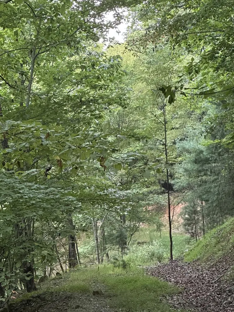 335 Deer Run Lane, Morganton, GA 30560 - #3