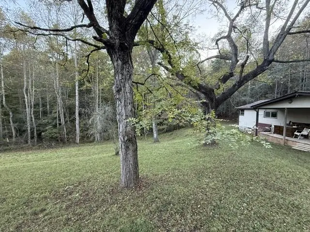 365 Autumn Road, Mineral Bluff, GA 30559 - #3