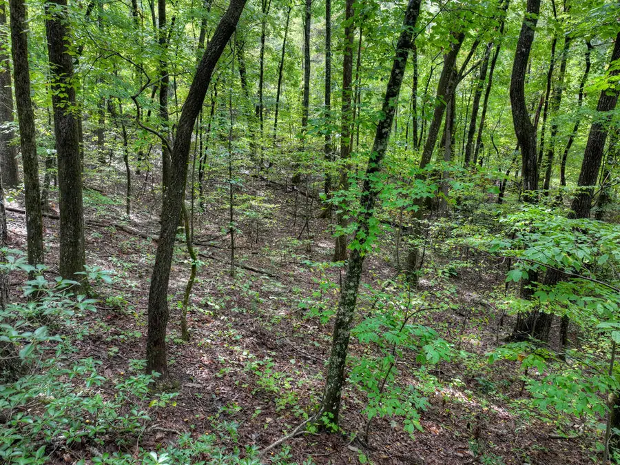 Lt. 125R Mountainside Parkway, Ellijay, GA 30536 - #2