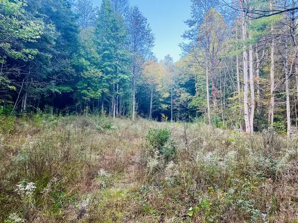 1798 Flea Mountain Road, Murphy, NC 28906