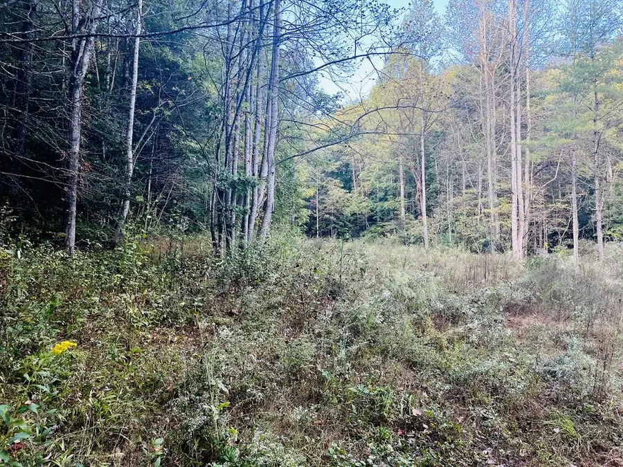 1798 Flea Mountain Road, Murphy, NC 28906 - #2