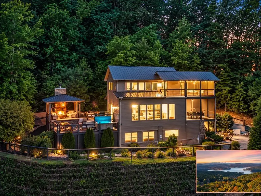 723 Ripshin Mountain Road, Blue Ridge, GA 30513 - #1