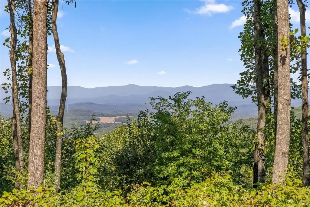 Lot 403 Double Oak Trl, Talking Rock, GA 30175 - #1
