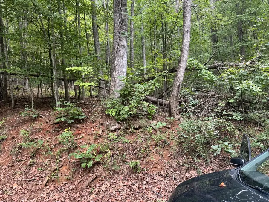 Lt45 Ayers Rock, Jasper, GA 30175 - #2
