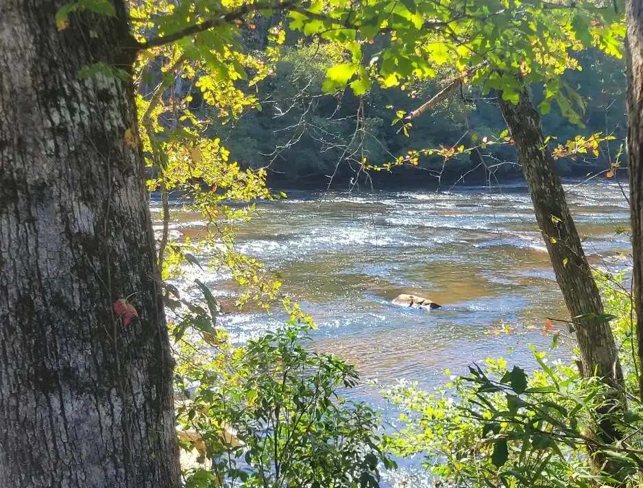Lot 6 Riversound Village, Hayesville, NC 28904 - #1
