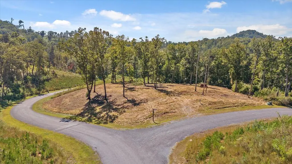 Lot 87 Twisted Oak Trail, Talking Rock, GA 30175 - #1