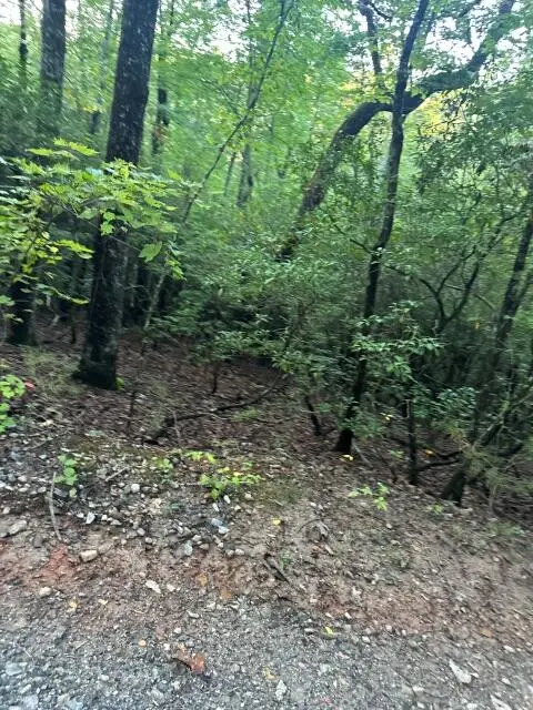 Lots 3&4 Amicalola Woods Road, Dawsonville, GA 30534